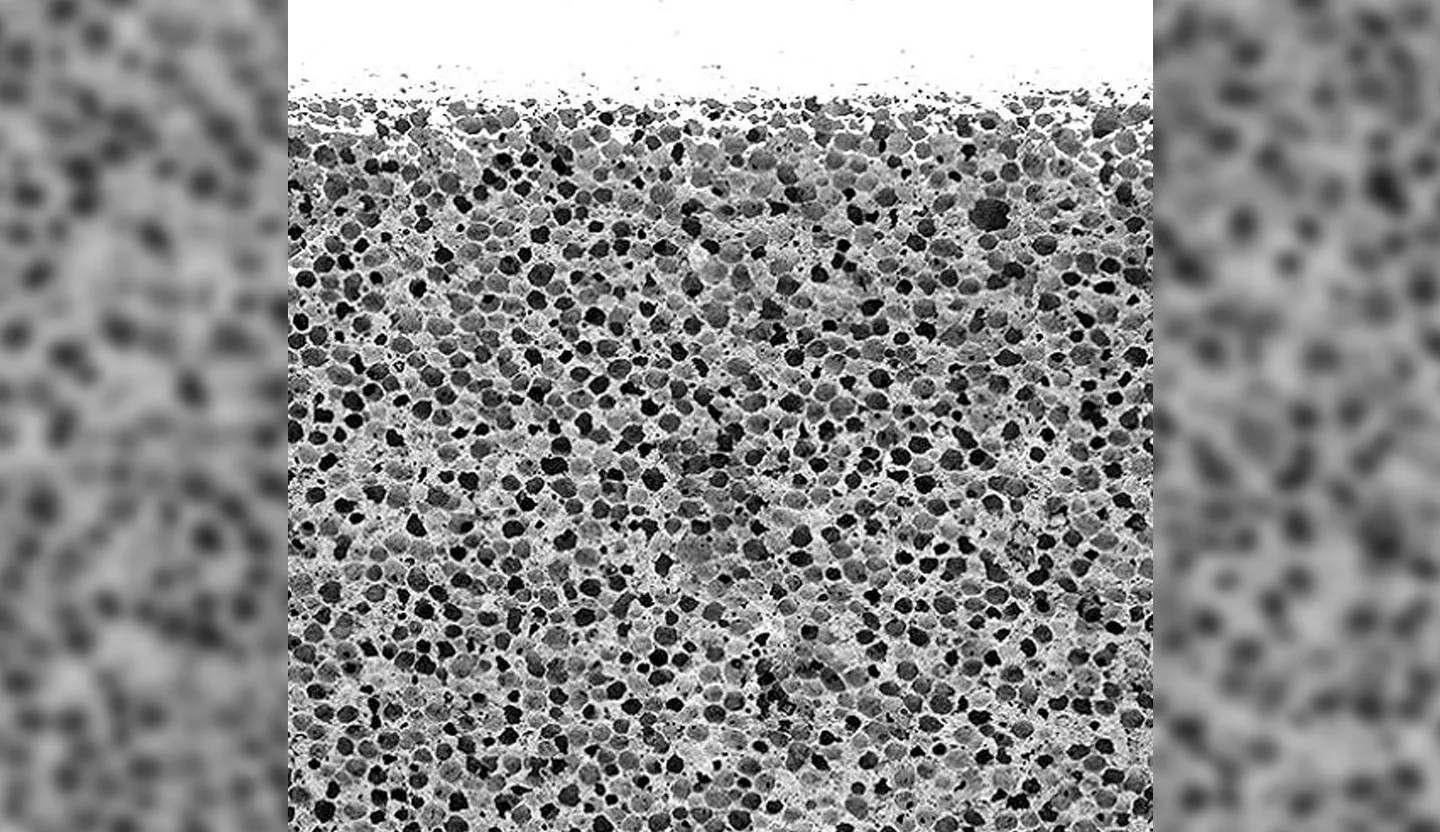 yuksek-urun-kalitesi-hafif-beton